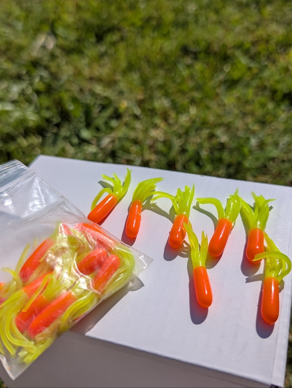 Fishing Baits